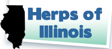 Link to the Herps of Illinois